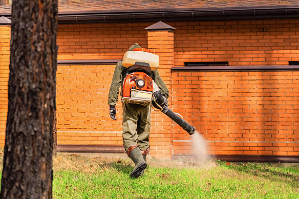 Trusted Fumigation Services service in Star City, AR - Nex Pest Control